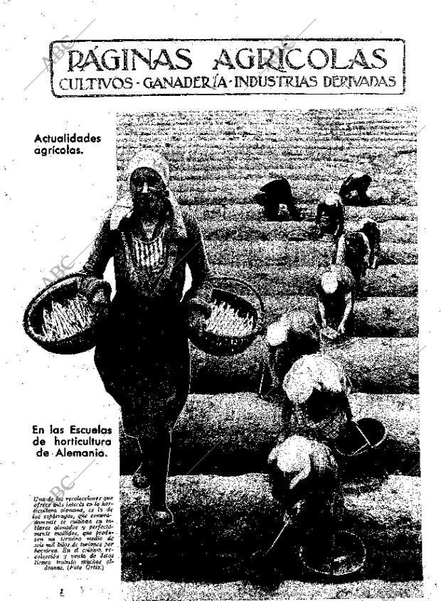 ABC MADRID 31-05-1935 página 11