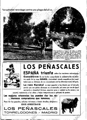 ABC MADRID 05-07-1935 página 12