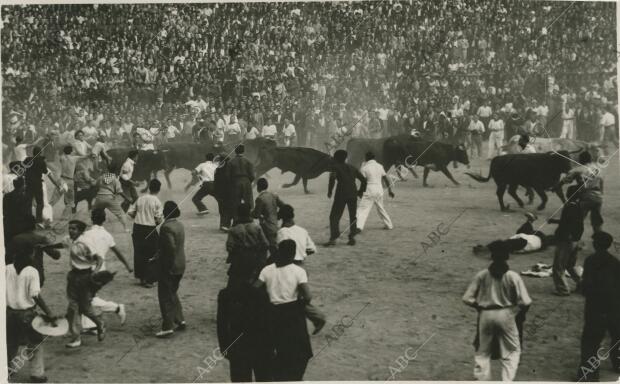 Toros entrando a la plaza en el tercer encierro de las fiestas de Sanfermín