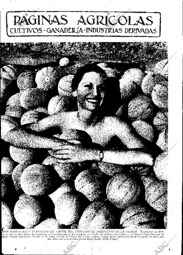 ABC MADRID 12-07-1935 página 11