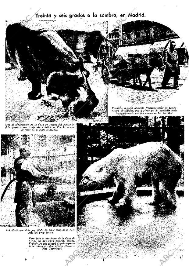 ABC MADRID 21-07-1935 página 23