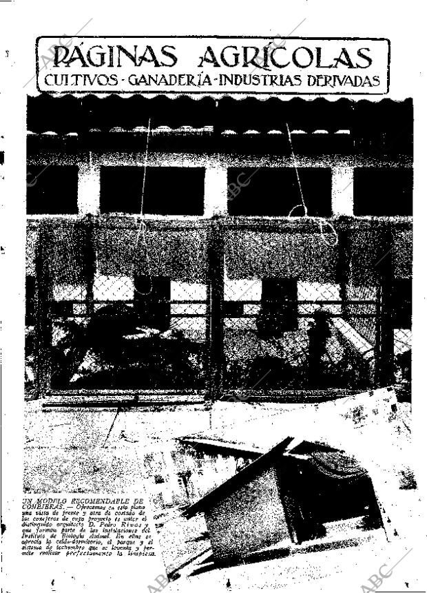 ABC MADRID 09-08-1935 página 11