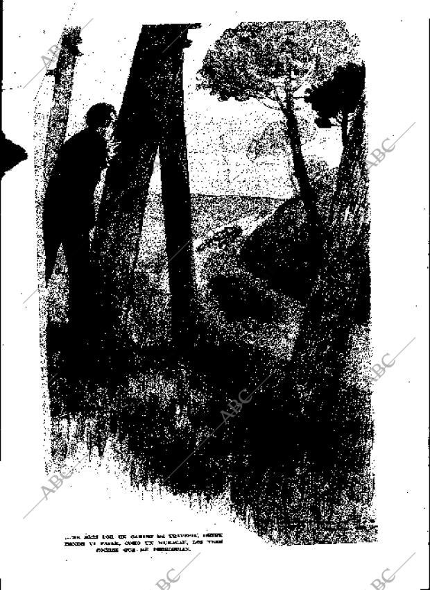 BLANCO Y NEGRO MADRID 25-08-1935 página 208