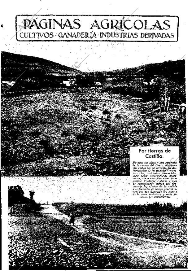 ABC MADRID 06-09-1935 página 11