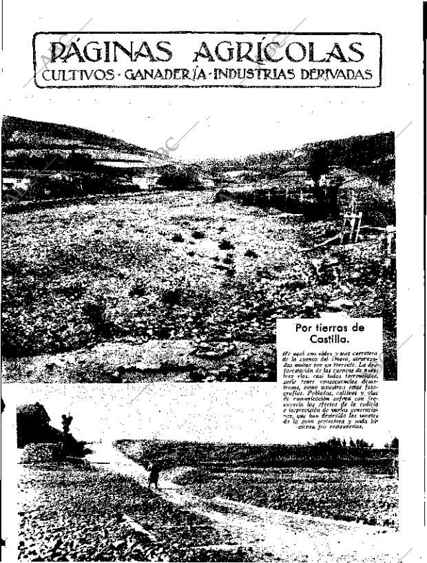 ABC SEVILLA 07-09-1935 página 11