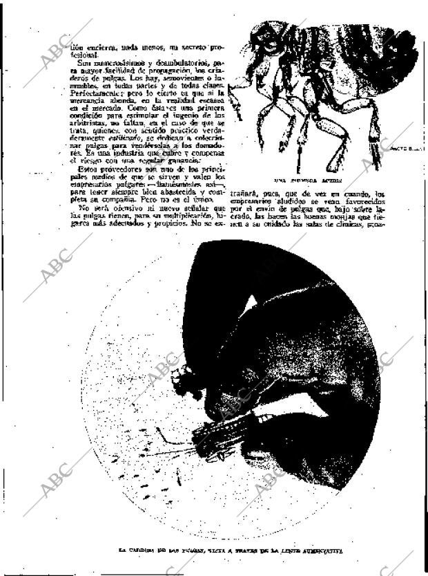 BLANCO Y NEGRO MADRID 29-09-1935 página 139