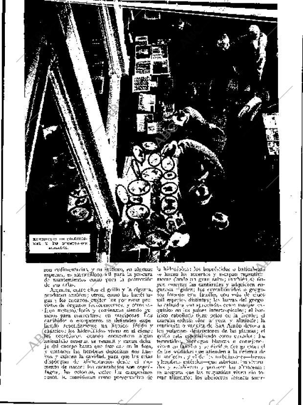 BLANCO Y NEGRO MADRID 29-09-1935 página 75