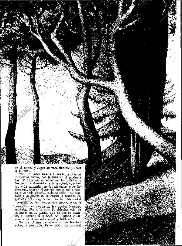 BLANCO Y NEGRO MADRID 29-09-1935 página 94