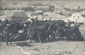 Sigüenza. La Feria de Octubre