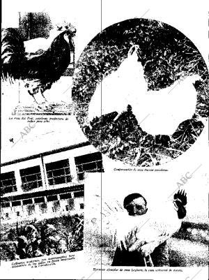 ABC SEVILLA 05-10-1935 página 13