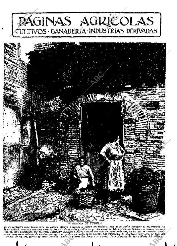 ABC MADRID 25-10-1935 página 11