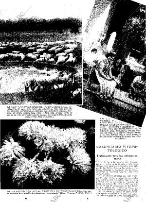 ABC MADRID 01-11-1935 página 13