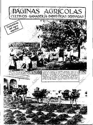 ABC SEVILLA 02-11-1935 página 11