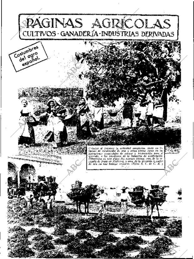 ABC SEVILLA 02-11-1935 página 11