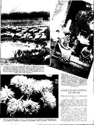 ABC SEVILLA 02-11-1935 página 13