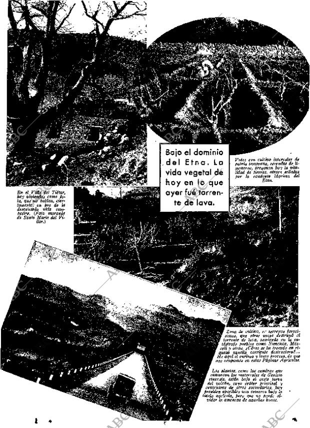 ABC MADRID 08-11-1935 página 13