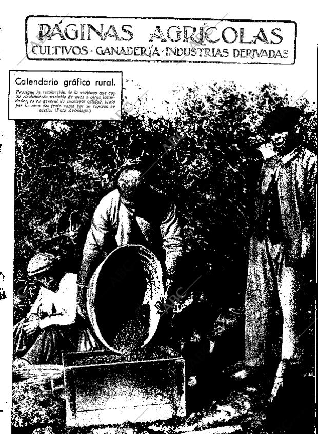 ABC SEVILLA 28-12-1935 página 11