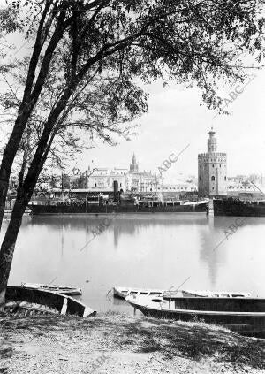 Torre del oro vista desde Triana