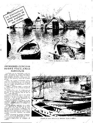 ABC SEVILLA 04-01-1936 página 13