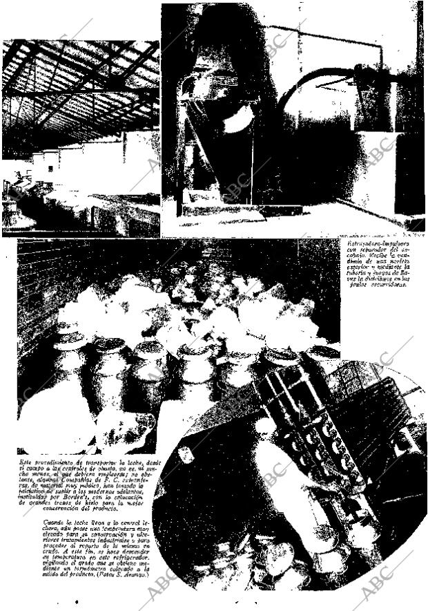ABC MADRID 10-01-1936 página 13