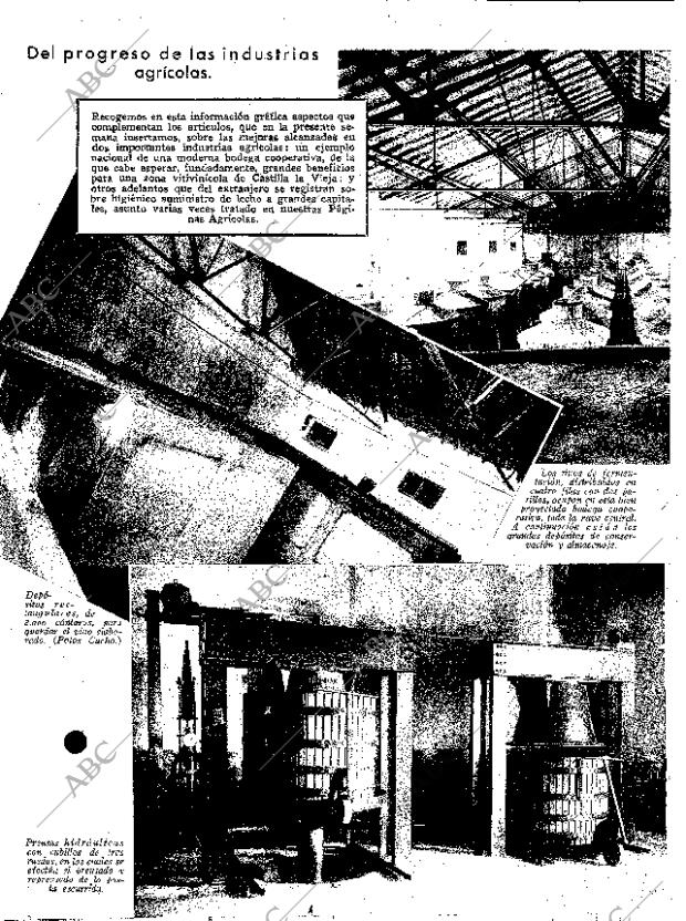 ABC SEVILLA 11-01-1936 página 12