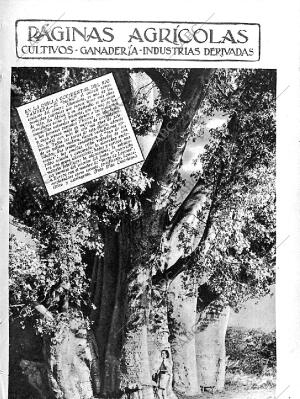 ABC MADRID 24-01-1936 página 11