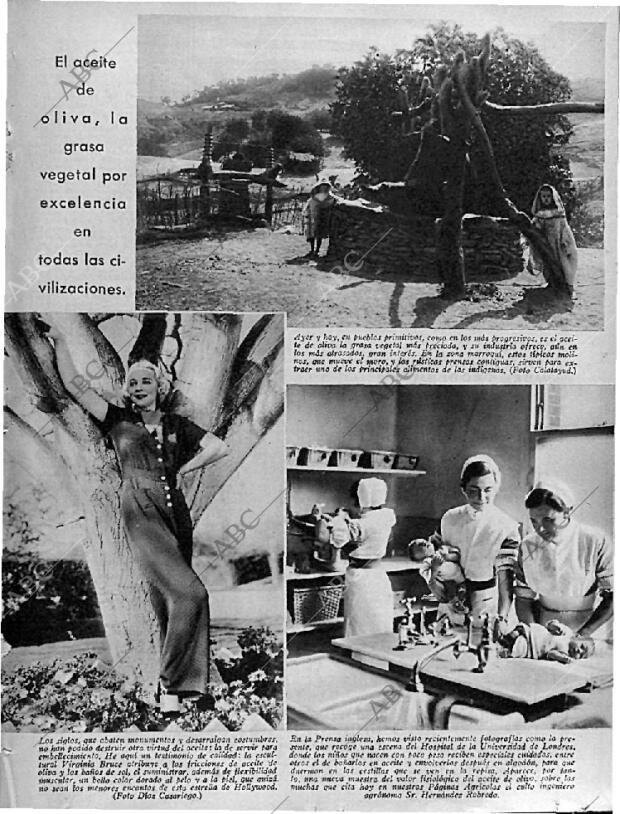 ABC MADRID 24-01-1936 página 13