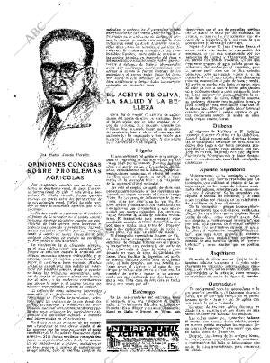 ABC MADRID 24-01-1936 página 14
