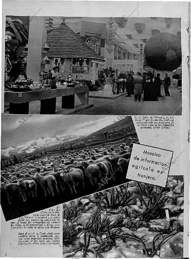 ABC MADRID 28-02-1936 página 12