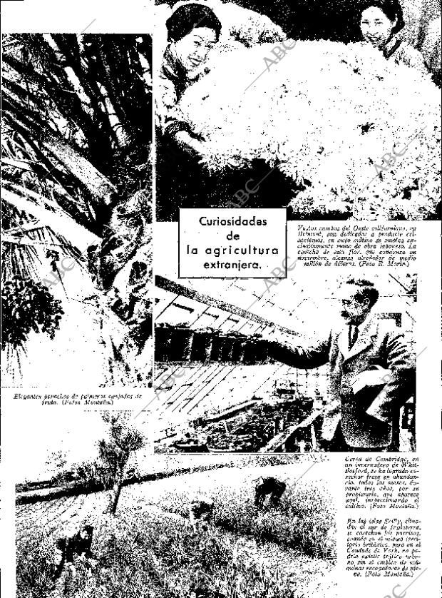 ABC SEVILLA 07-03-1936 página 13