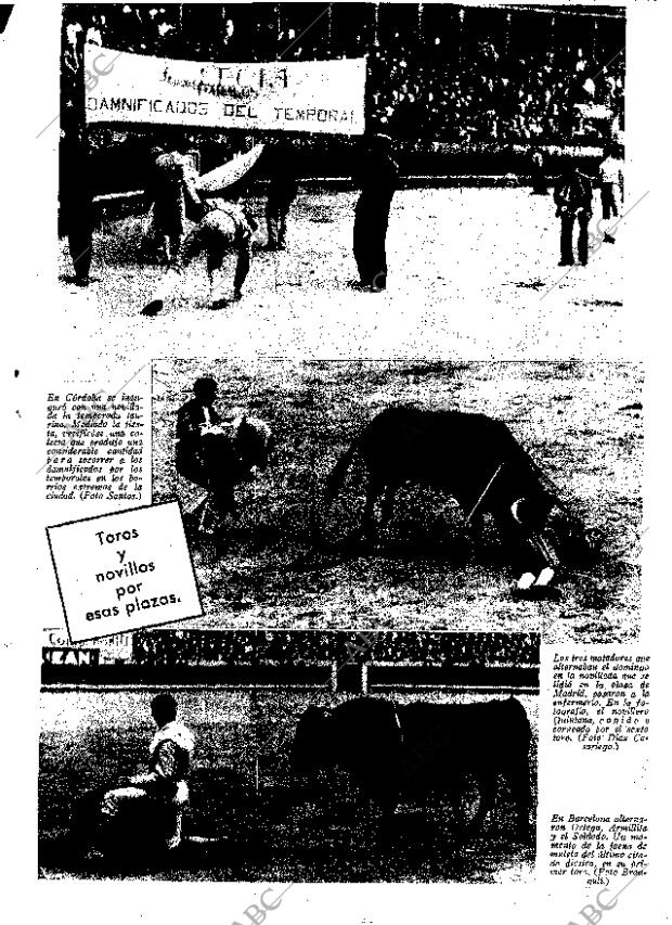 ABC MADRID 31-03-1936 página 63