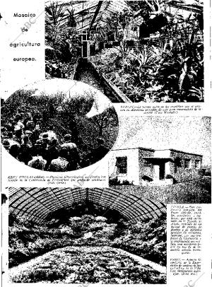 ABC SEVILLA 14-04-1936 página 11