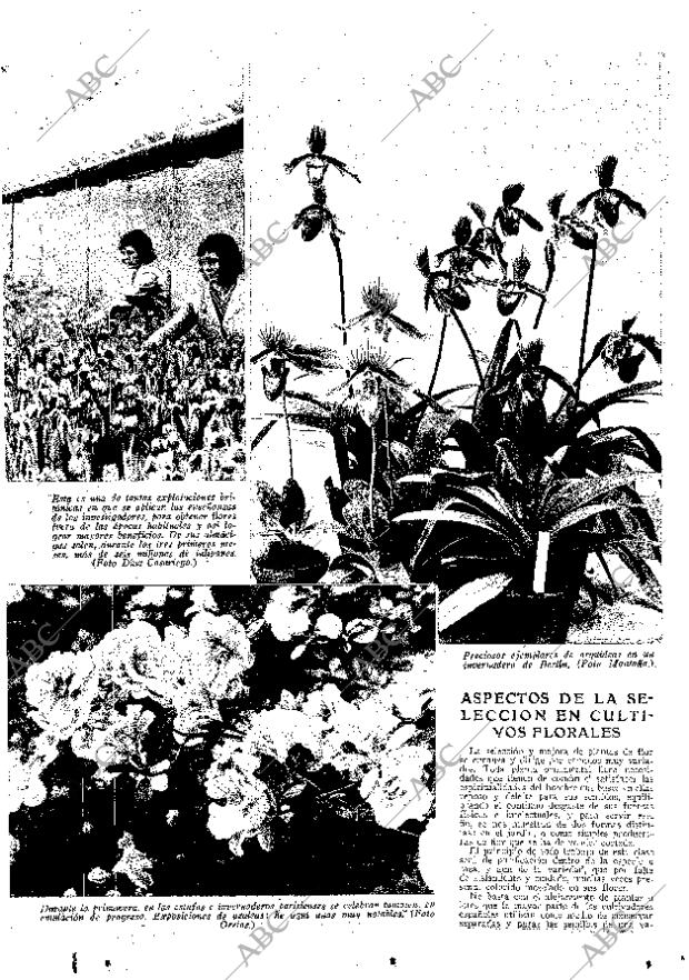 ABC MADRID 17-04-1936 página 13