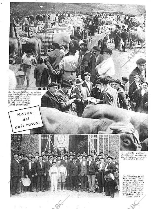 ABC MADRID 17-05-1936 página 25