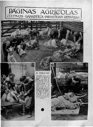 ABC MADRID 22-05-1936 página 11