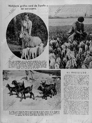 ABC MADRID 22-05-1936 página 12