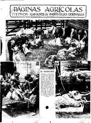 ABC SEVILLA 23-05-1936 página 11