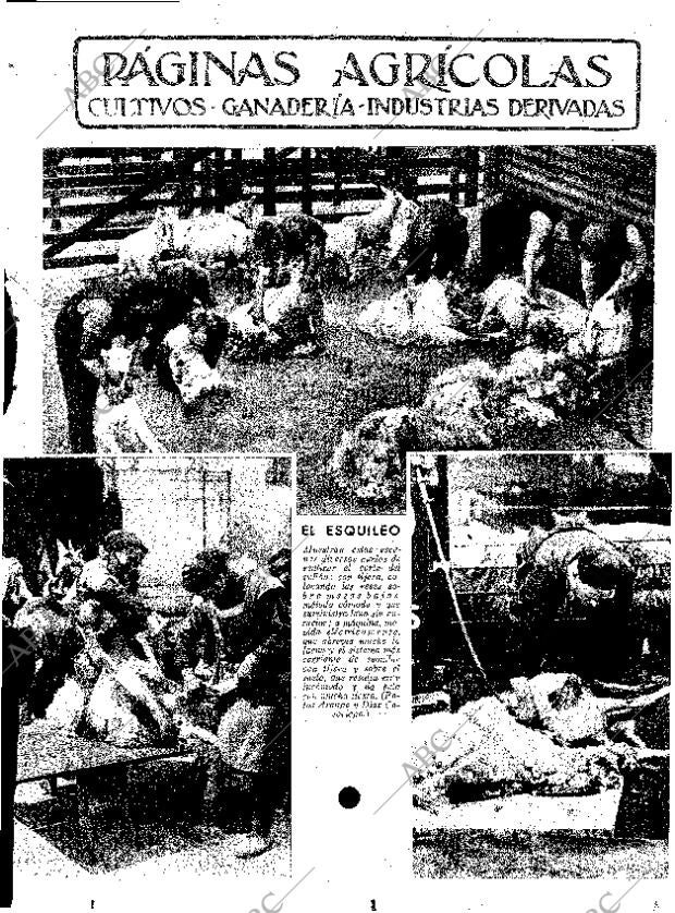 ABC SEVILLA 23-05-1936 página 11