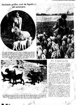 ABC SEVILLA 23-05-1936 página 12