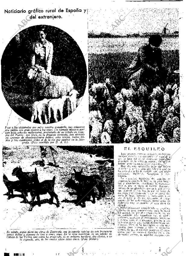 ABC SEVILLA 23-05-1936 página 12