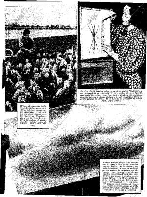 ABC SEVILLA 23-05-1936 página 13