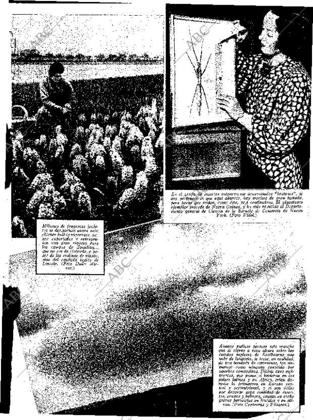 ABC SEVILLA 23-05-1936 página 13