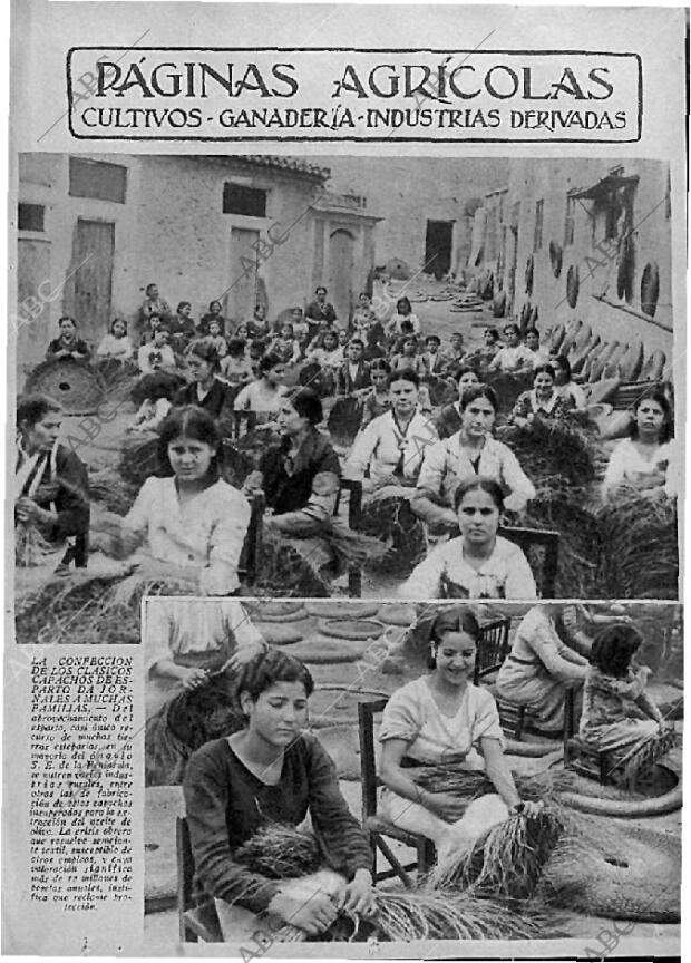 ABC MADRID 12-06-1936 página 11