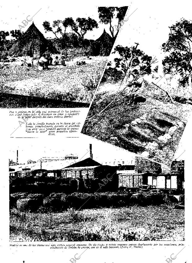 ABC SEVILLA 20-06-1936 página 13