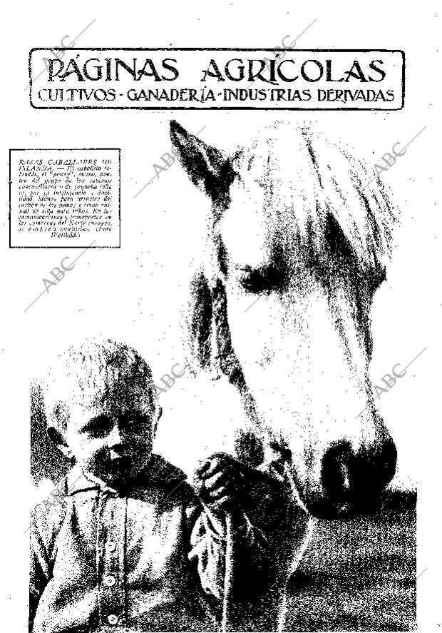 ABC MADRID 26-06-1936 página 11
