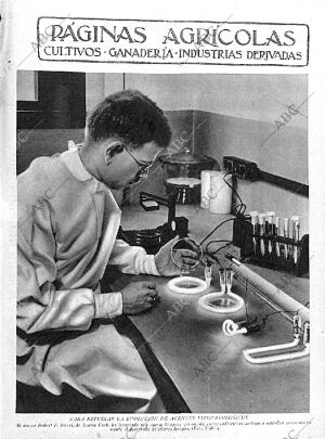 ABC MADRID 03-07-1936 página 11