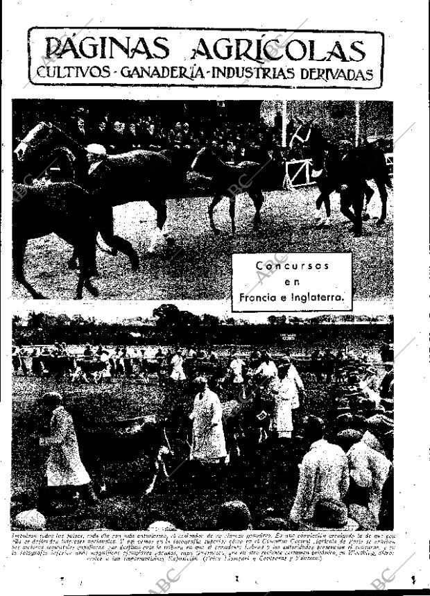 ABC MADRID 17-07-1936 página 11