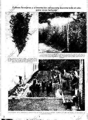ABC MADRID 17-07-1936 página 12