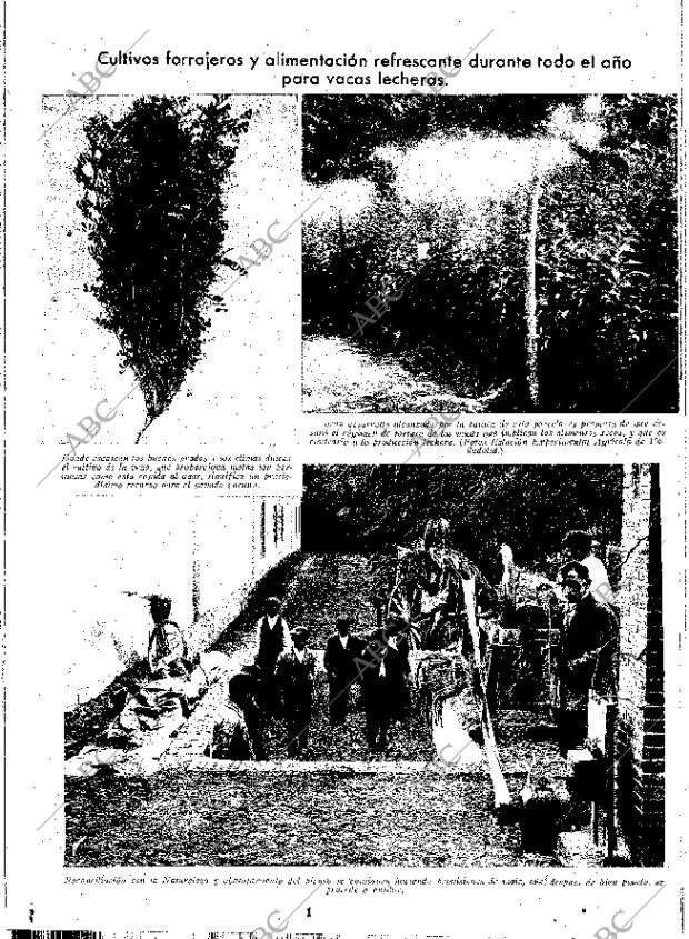 ABC MADRID 17-07-1936 página 12