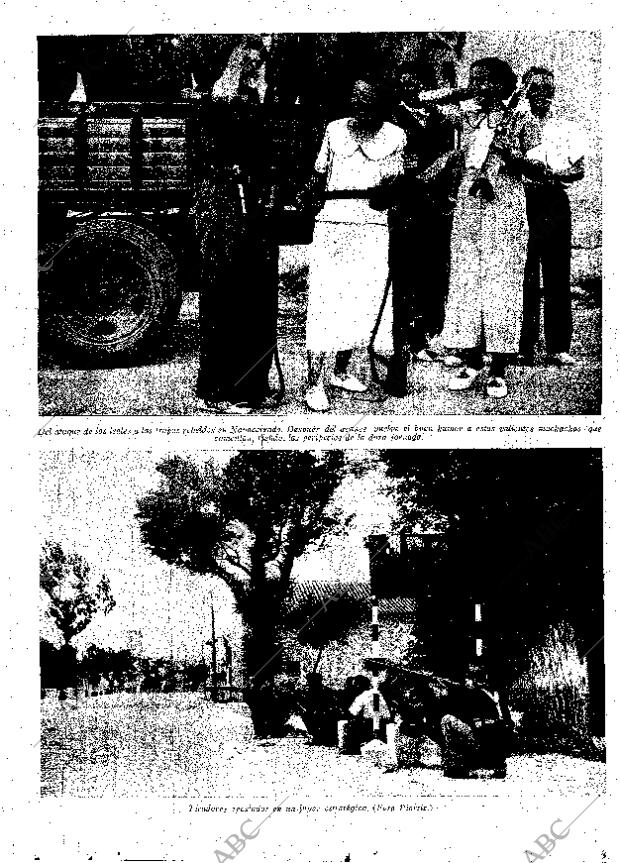 ABC MADRID 29-07-1936 página 7
